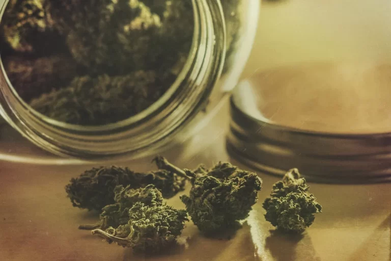 Wellness Beyond Weed: The Impact of a Purposeful Stash Container on Your Cannabis Journey